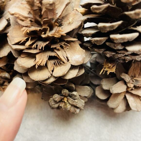 Vintage Handmade Wooden Angel Basket Brown Hand Carved Twig Pinecone Handled - Picture 11 of 11